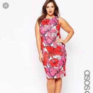 HP!! ASOS Curve Bodycon Floral Peekaboo dress